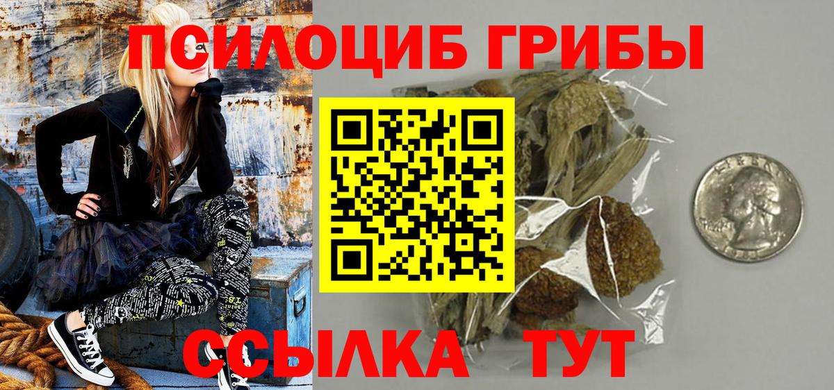 Псилоцибиновые грибы Cubensis Костомукша